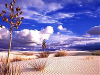 World & Travel: desert sand dunes landscape photography