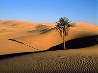 World & Travel: desert sand dunes landscape photography