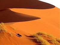 World & Travel: desert sand dunes landscape photography