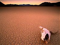 World & Travel: desert sand dunes landscape photography