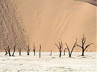 World & Travel: desert sand dunes landscape photography