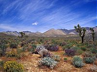 World & Travel: desert sand dunes landscape photography