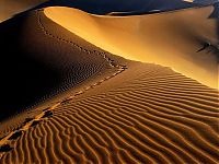 TopRq.com search results: desert sand dunes landscape photography