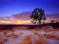 World & Travel: desert sand dunes landscape photography