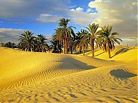 World & Travel: desert sand dunes landscape photography