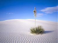 World & Travel: desert sand dunes landscape photography