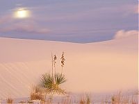 World & Travel: desert sand dunes landscape photography