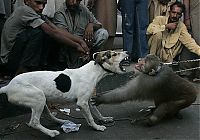 World & Travel: world photo news