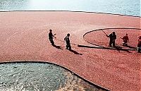 TopRq.com search results: Harvesting cranberries in England, United Kingdom