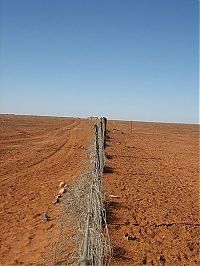TopRq.com search results: The longest fence in the world, 5614 km, Australia