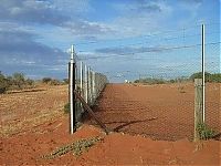 TopRq.com search results: The longest fence in the world, 5614 km, Australia