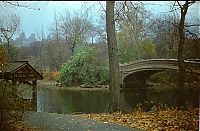 History: New York City, 1978, United States