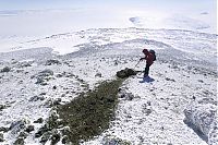 TopRq.com search results: Antarctic Plateau, Antarctica