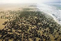 bird's-eye view aerial landscape photography