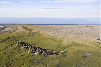 bird's-eye view aerial landscape photography