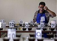 World & Travel: world photo news