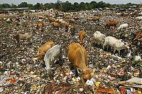 World & Travel: world photo news