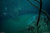 TopRq.com search results: Underwater river, Cenote Angelita, Mexico