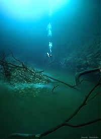 Underwater river, Cenote Angelita, Mexico