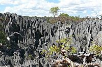 TopRq.com search results: Stone Forest in Madagascar, Manambulu - Bemaraha