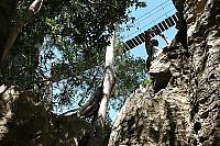 World & Travel: Stone Forest in Madagascar, Manambulu - Bemaraha