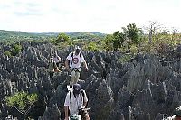 TopRq.com search results: Stone Forest in Madagascar, Manambulu - Bemaraha