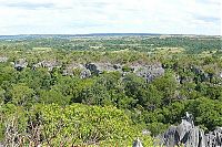 TopRq.com search results: Stone Forest in Madagascar, Manambulu - Bemaraha