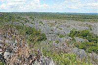 World & Travel: Stone Forest in Madagascar, Manambulu - Bemaraha