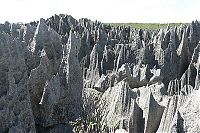 TopRq.com search results: Stone Forest in Madagascar, Manambulu - Bemaraha