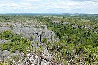 TopRq.com search results: Stone Forest in Madagascar, Manambulu - Bemaraha