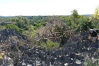 TopRq.com search results: Stone Forest in Madagascar, Manambulu - Bemaraha