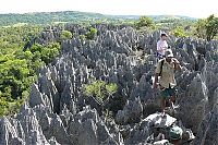 TopRq.com search results: Stone Forest in Madagascar, Manambulu - Bemaraha