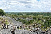 TopRq.com search results: Stone Forest in Madagascar, Manambulu - Bemaraha