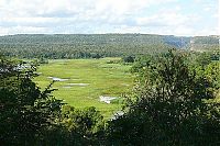 TopRq.com search results: Stone Forest in Madagascar, Manambulu - Bemaraha