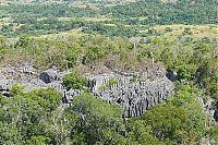 World & Travel: Stone Forest in Madagascar, Manambulu - Bemaraha