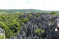 TopRq.com search results: Stone Forest in Madagascar, Manambulu - Bemaraha