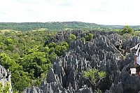 TopRq.com search results: Stone Forest in Madagascar, Manambulu - Bemaraha