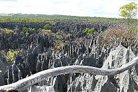 TopRq.com search results: Stone Forest in Madagascar, Manambulu - Bemaraha