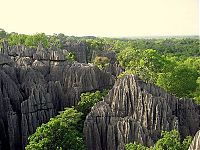 TopRq.com search results: Stone Forest in Madagascar, Manambulu - Bemaraha