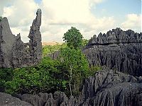 TopRq.com search results: Stone Forest in Madagascar, Manambulu - Bemaraha