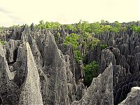 TopRq.com search results: Stone Forest in Madagascar, Manambulu - Bemaraha