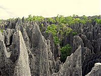 World & Travel: Stone Forest in Madagascar, Manambulu - Bemaraha