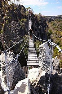 World & Travel: Stone Forest in Madagascar, Manambulu - Bemaraha