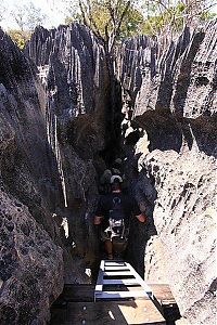 TopRq.com search results: Stone Forest in Madagascar, Manambulu - Bemaraha