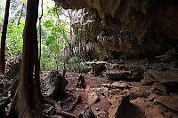 TopRq.com search results: Stone Forest in Madagascar, Manambulu - Bemaraha