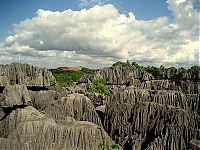 World & Travel: Stone Forest in Madagascar, Manambulu - Bemaraha