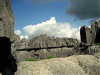 World & Travel: Stone Forest in Madagascar, Manambulu - Bemaraha