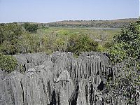 World & Travel: Stone Forest in Madagascar, Manambulu - Bemaraha