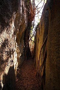 TopRq.com search results: Stone Forest in Madagascar, Manambulu - Bemaraha