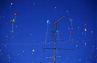 World & Travel: world photo news